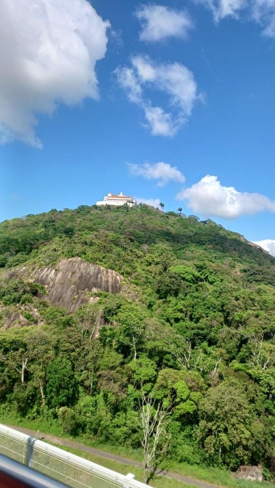 Foto 7 de 7