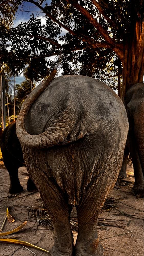 Foto 4 di 5
