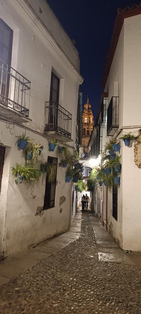Foto 5 di 5