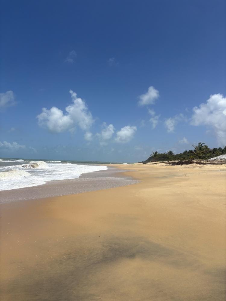 Foto 1 de 1