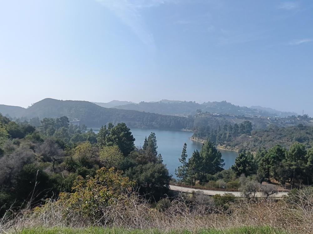 Foto 1 di 3