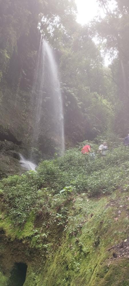 Foto 2 de 2
