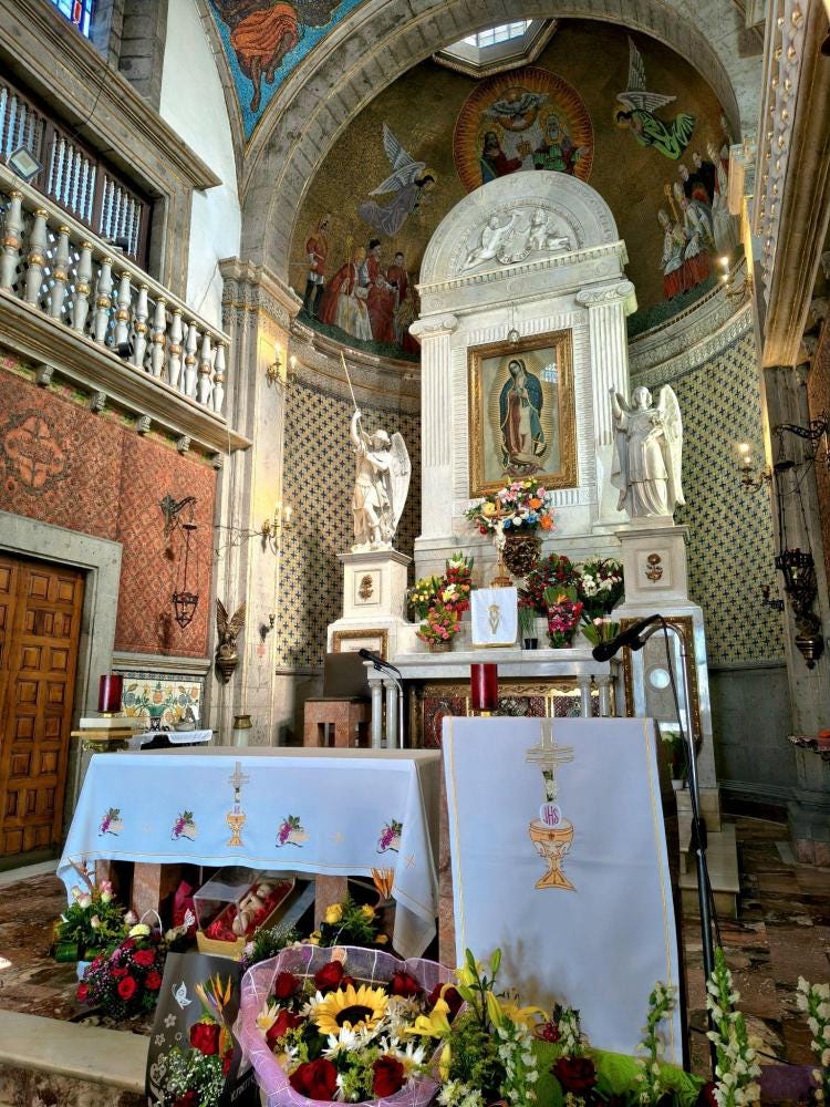 Foto 5 de 10