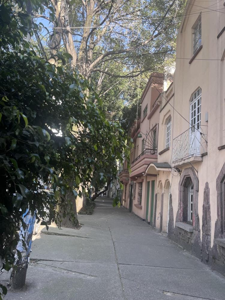 Foto 4 di 5