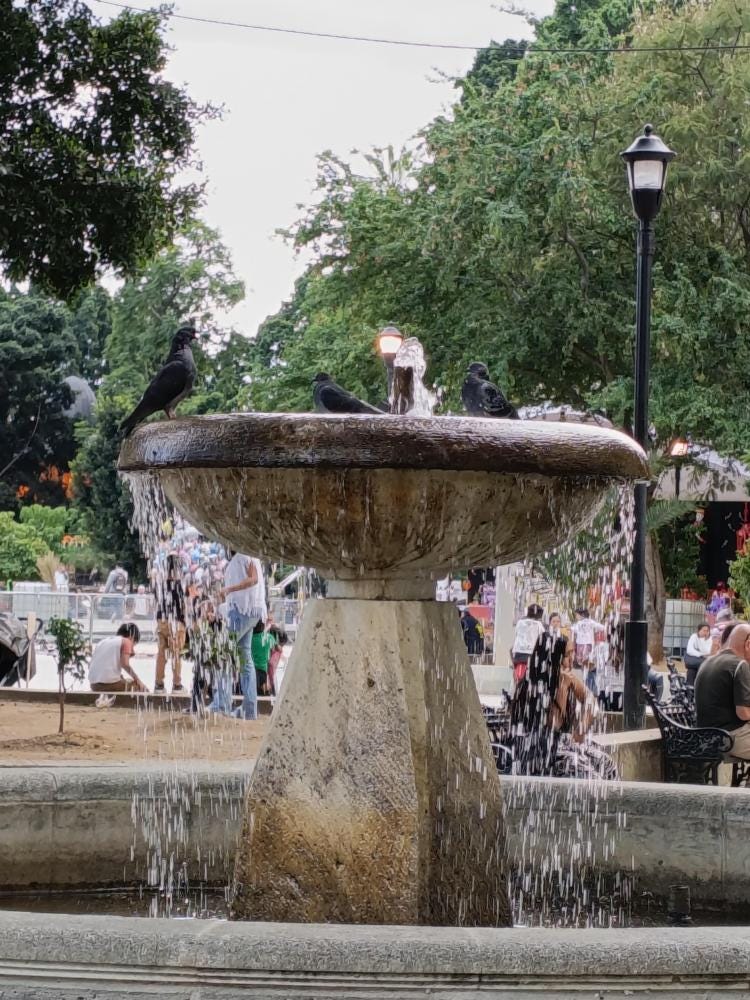 Foto 2 de 3