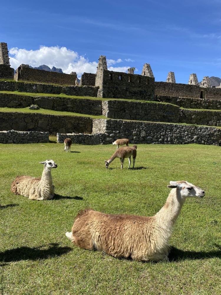 Foto 1 de 2