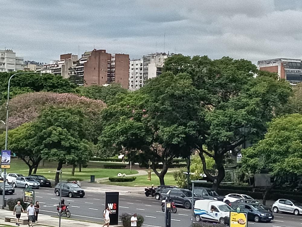 Foto 5 de 6
