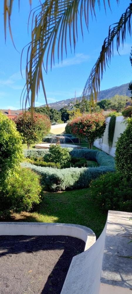 Foto 4 di 4