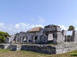 Foto 3 de 5