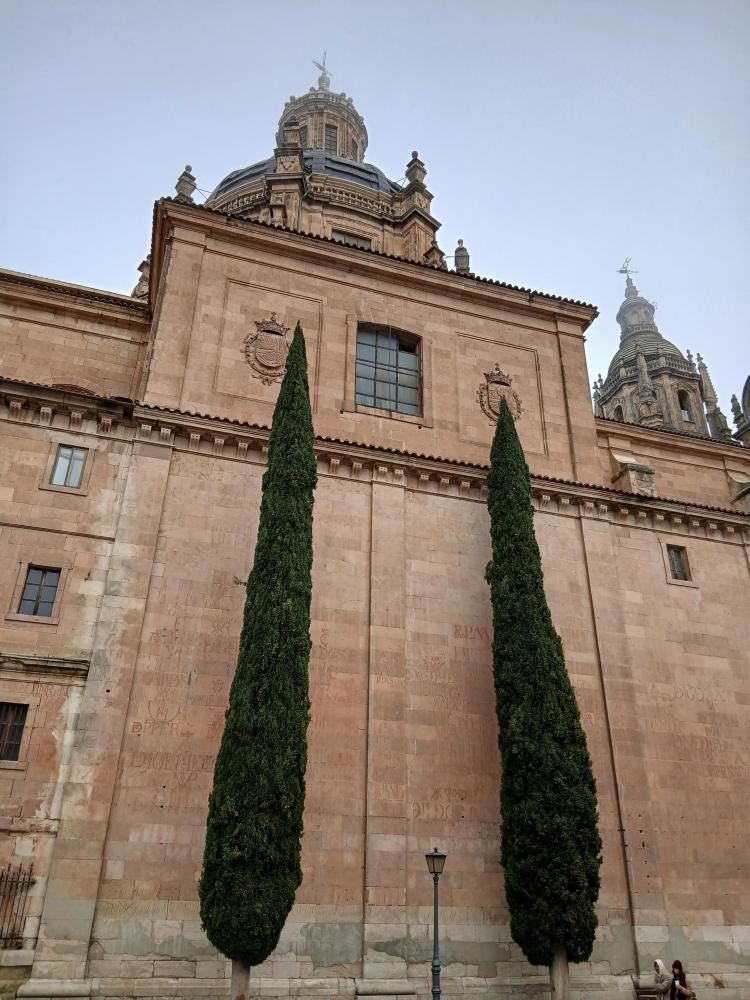 Foto 1 de 1