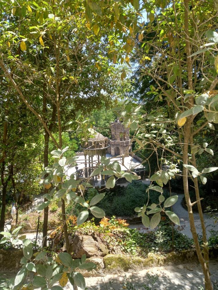 Foto 3 de 6