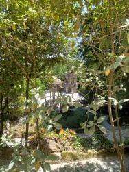 Foto 3 de 6