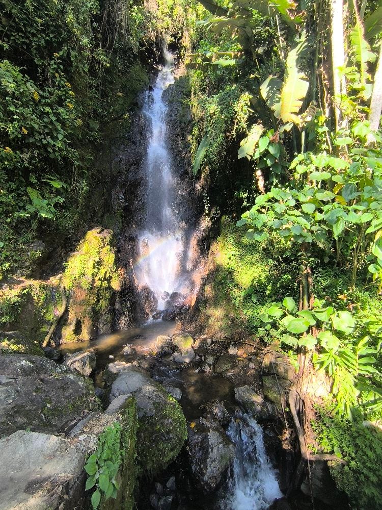 Foto 2 de 3