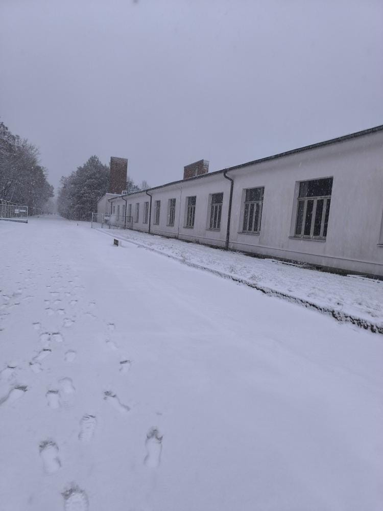 Foto 1 di 4
