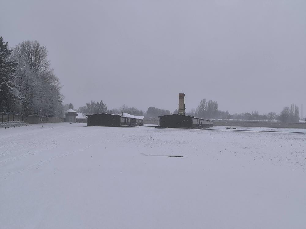 Foto 2 di 4