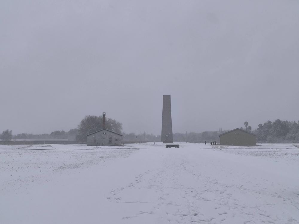Foto 3 di 4