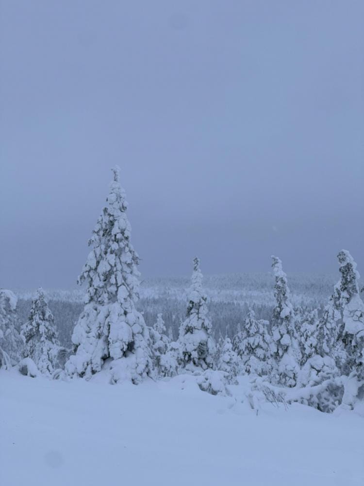 Foto 2 di 7