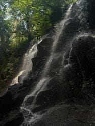Foto 1 de 1
