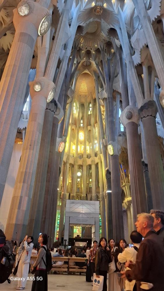 Foto 2 de 7