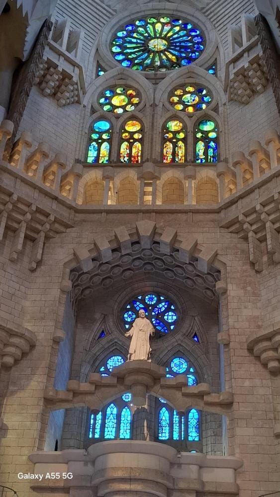 Foto 7 de 7
