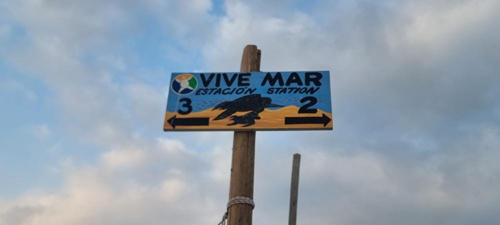 Foto 1 di 2
