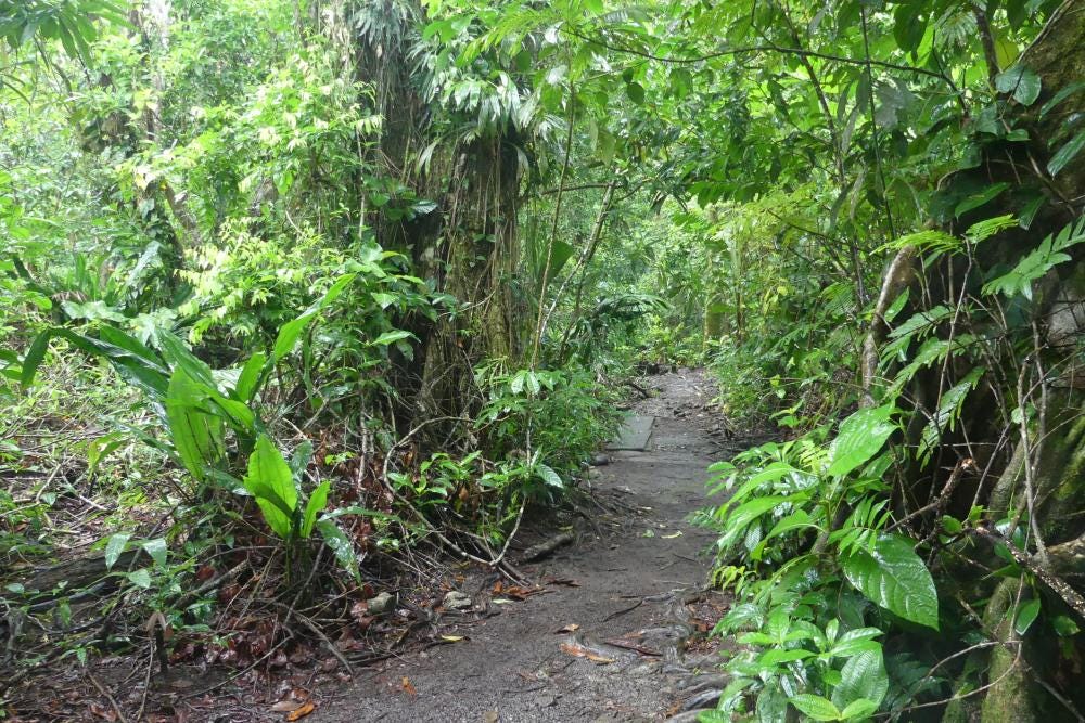 Foto 1 de 4