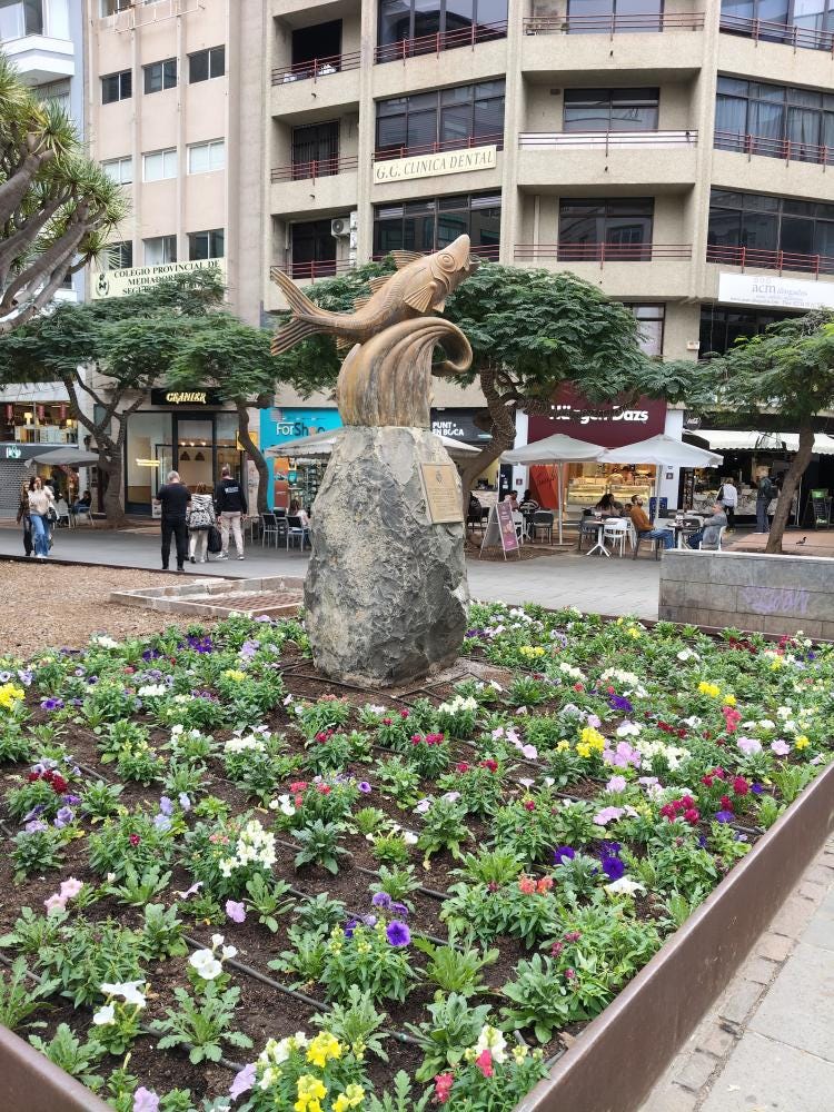 Foto 5 de 5