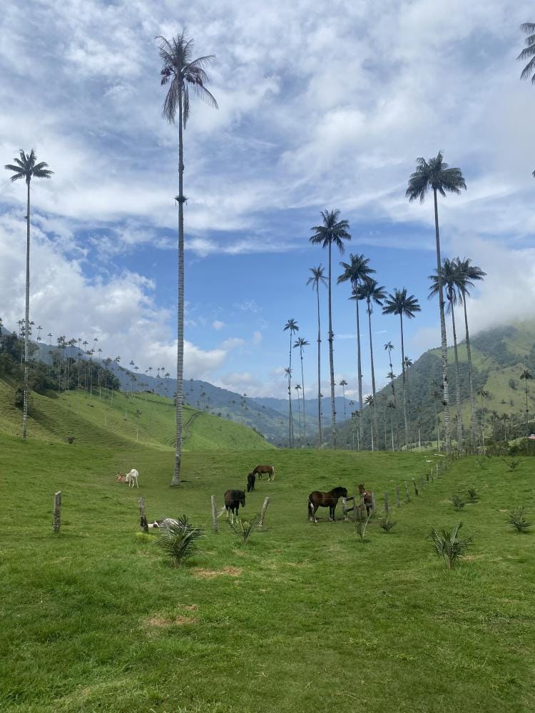 Foto 2 de 3