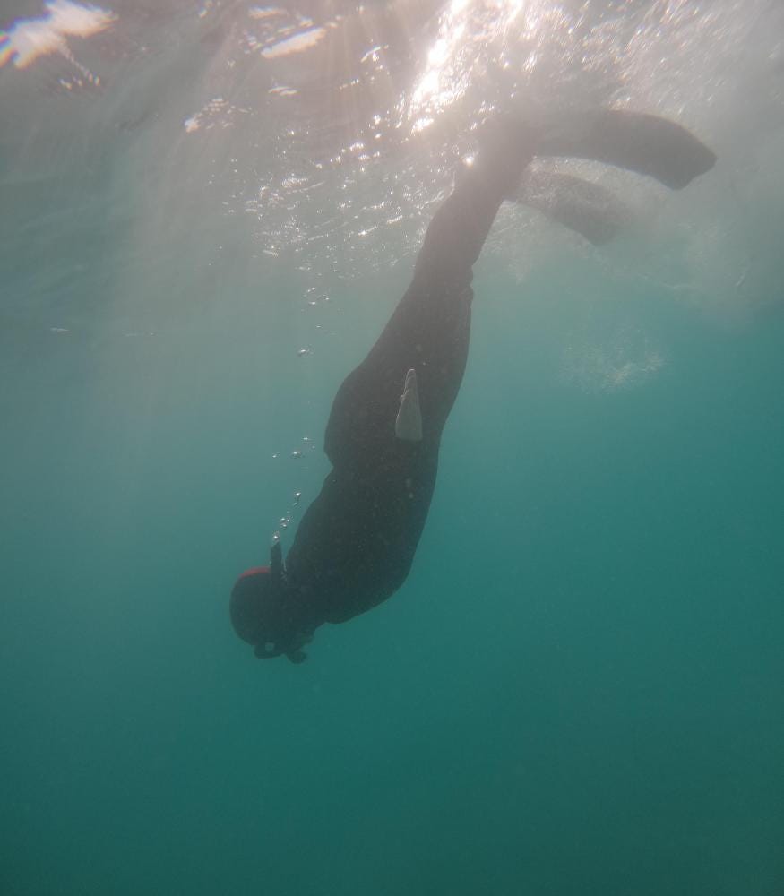 Foto 1 de 2