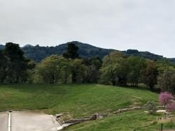 Foto 4 de 7