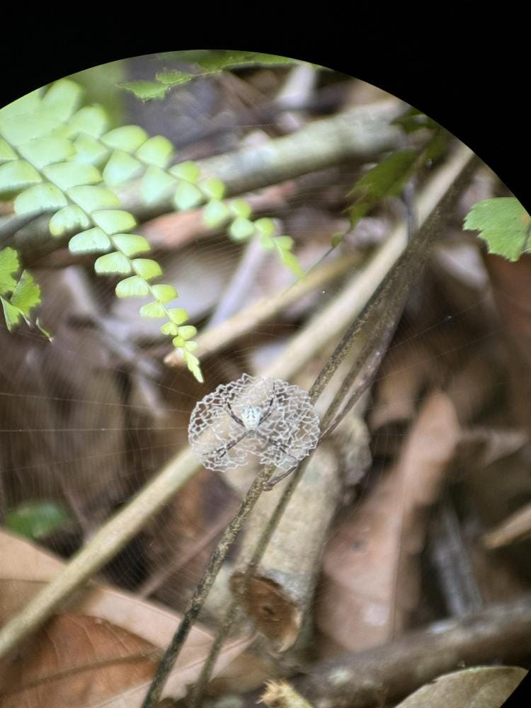 Foto 2 de 4