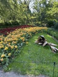 Foto 2 de 4