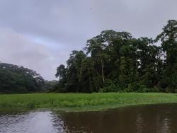 Foto 3 de 4
