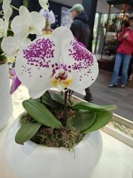 Foto 4 de 5