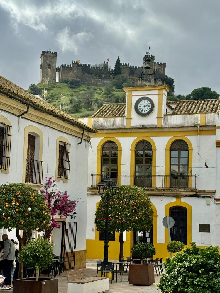 Foto 5 de 5