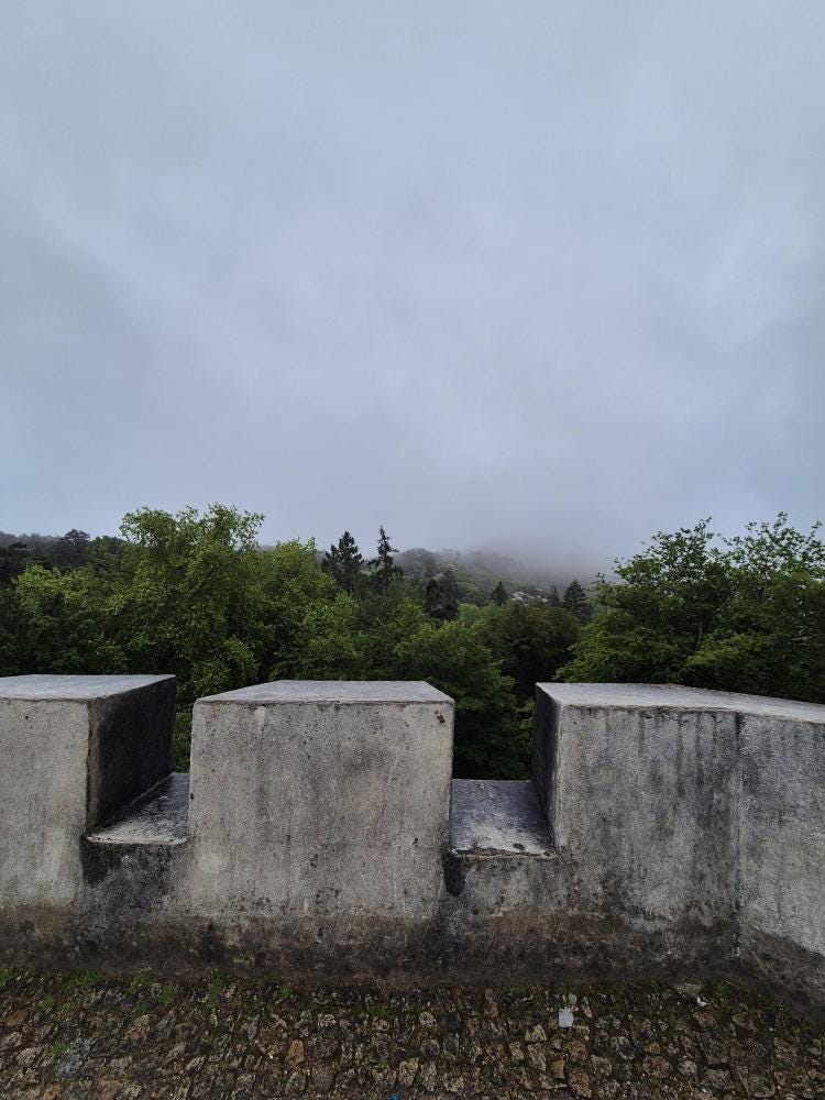 Foto 1 de 1