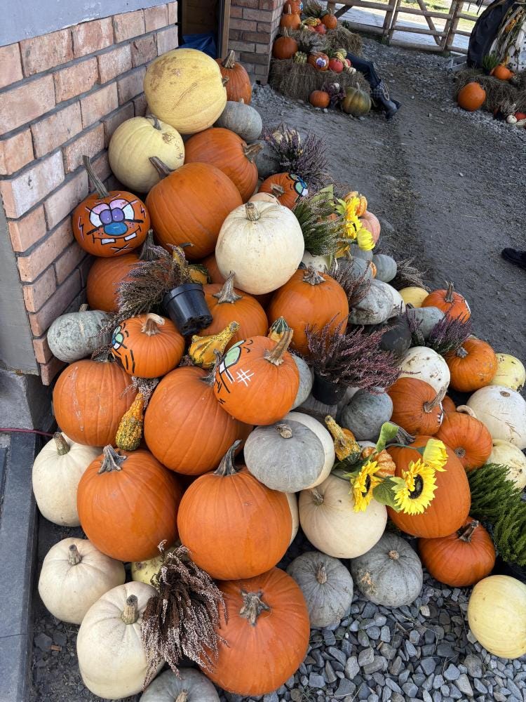 Foto 2 de 3