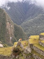 Foto 3 de 3