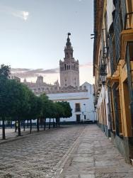 Foto 1 de 1