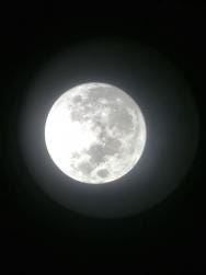 Foto 2 de 4