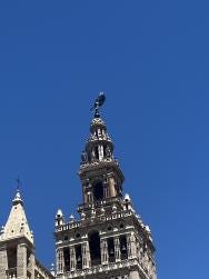 Foto 1 de 2