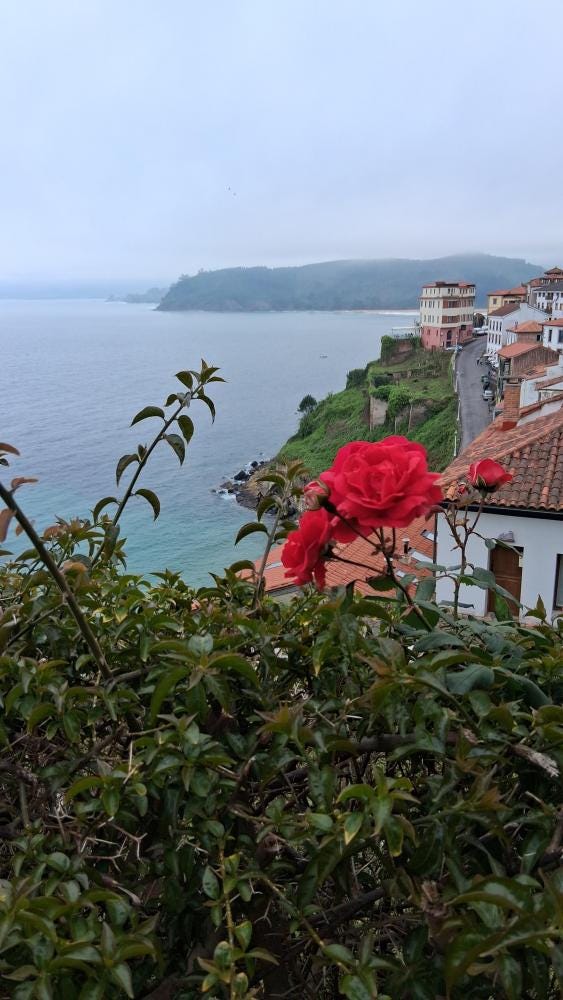 Foto 1 de 4