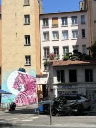 Foto 2 de 6