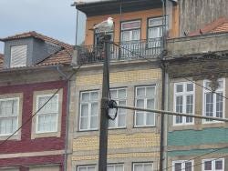 Foto 4 de 7