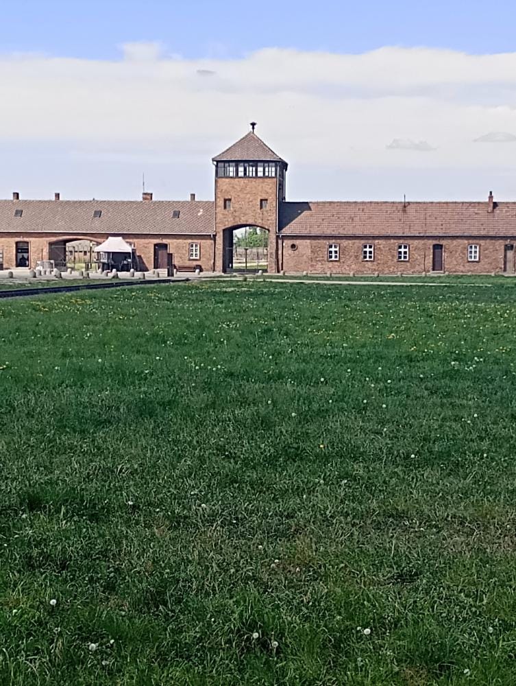 Foto 2 di 2