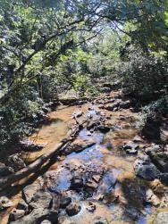 Foto 1 de 4