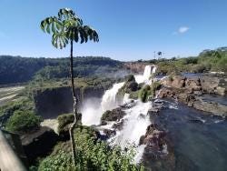 Foto 2 de 4