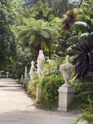 Foto 3 de 3