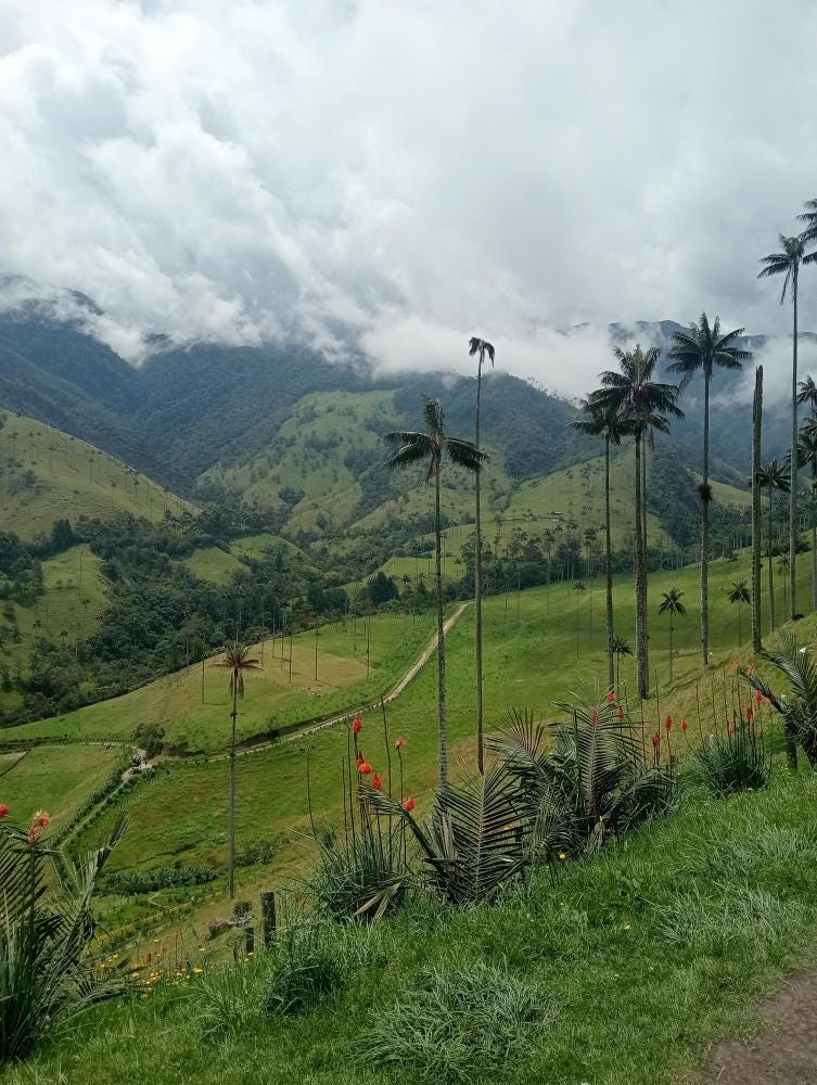 Foto 3 de 3
