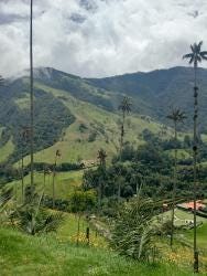 Foto 2 de 3